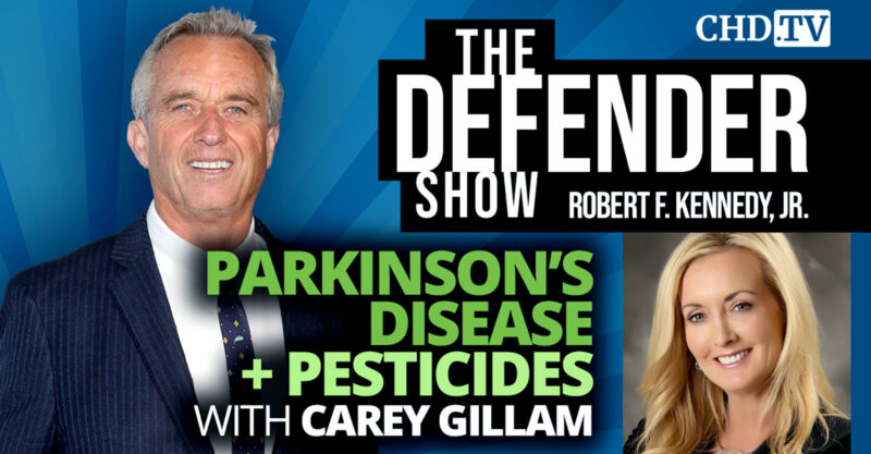 rfk jr podcast carey gillam feature