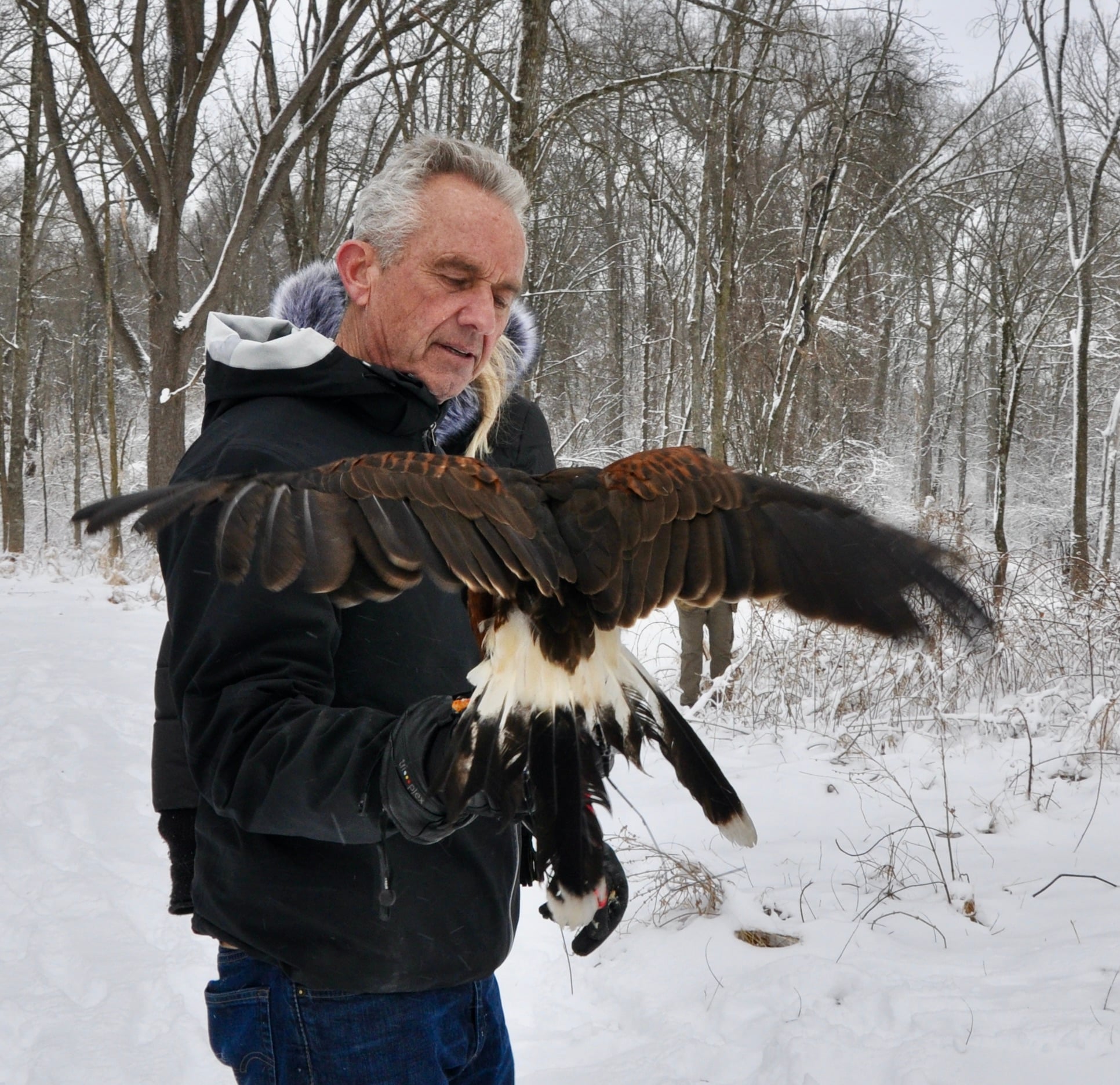 RFK jr. with falcon