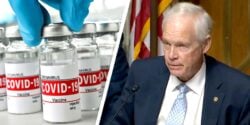 covid vaccines and ron johnson