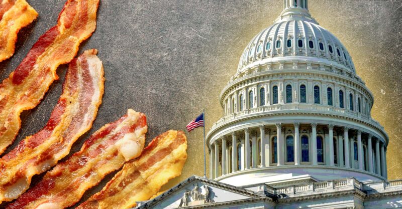 capitol building and bacon