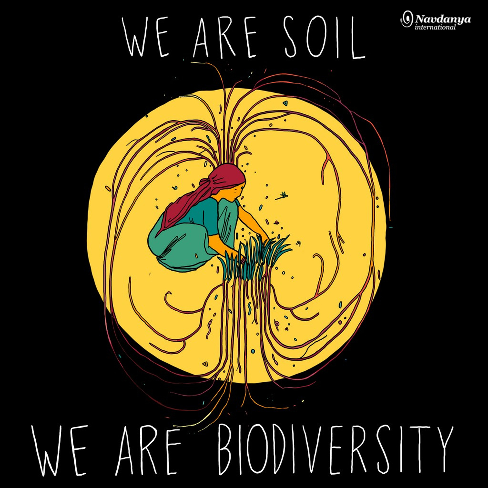 soil biodiversity