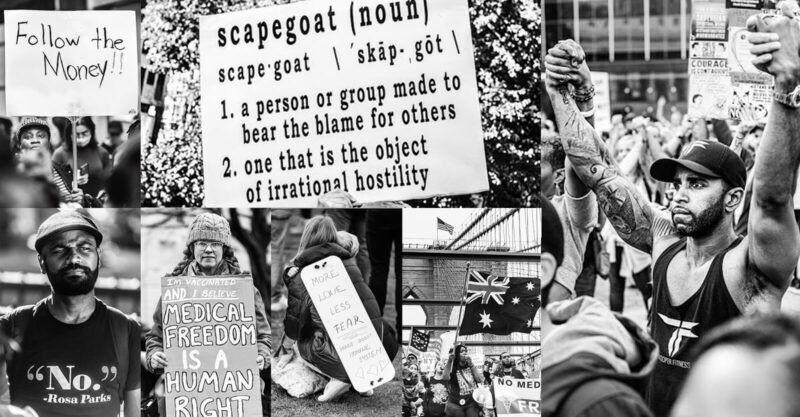 Collage of protesters holding signs at medical freedom rally