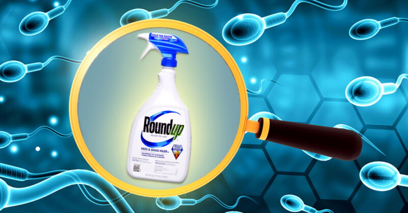 roundup bottle and sperm