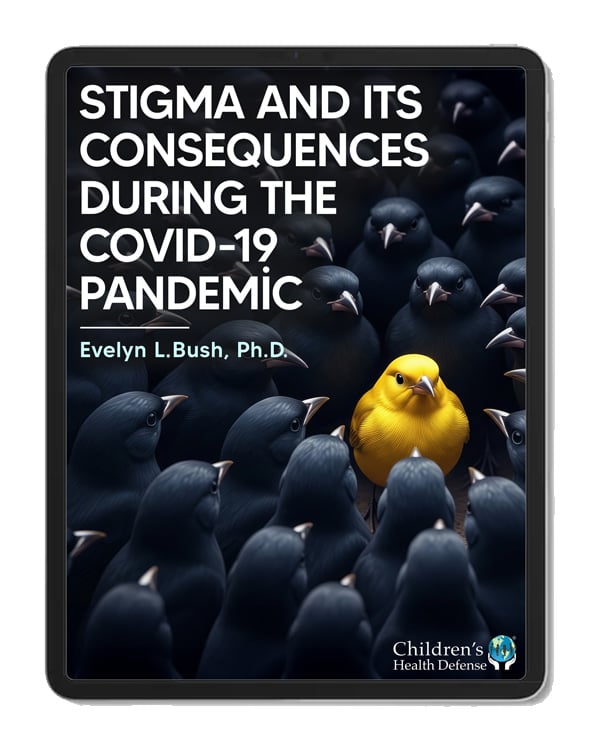 eBook Cover: Stigma and Its Consequences During the COVID-19 Pandemic