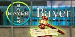 bayer building and gavel with cash