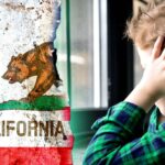 california flag and boy
