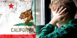 california flag and boy
