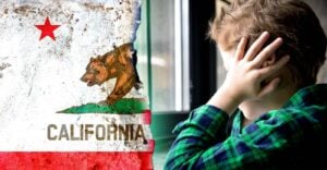 california flag and boy