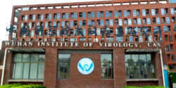suspend funding wuhan institute feature
