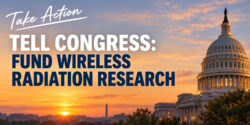 Tell Congress: Fund Wireless Radiation Research