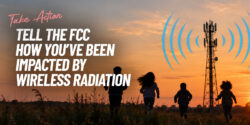 Tell the FCC How You’ve Been Impacted by Wireless Radiation - Image of kids running in a field during sunset with a cell tower in the background.