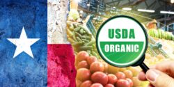 texas flag and organic produce