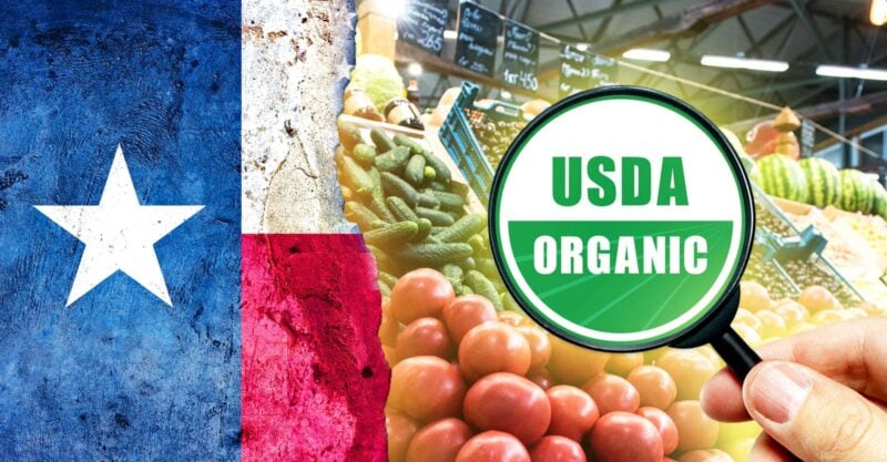 texas flag and organic produce
