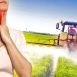 woman holding thyroid and tractor spraying pesticides