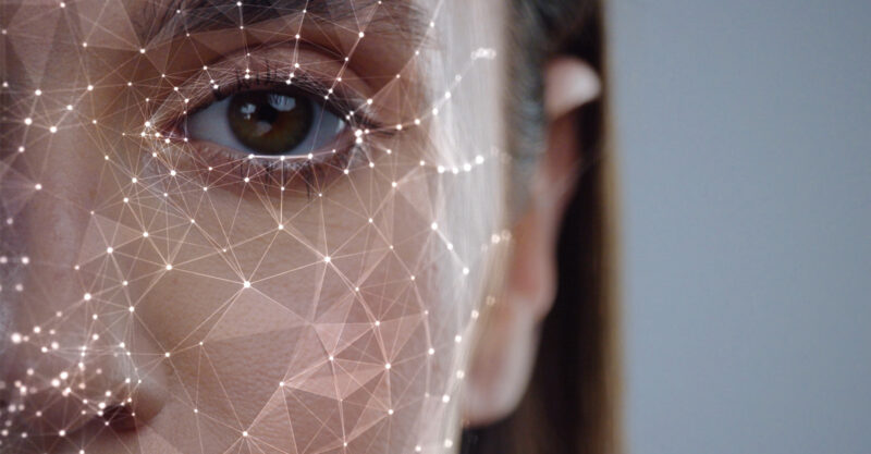 Half Face of Young Caucasian Woman for Face Detection