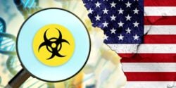 bioweapon symbol and american flag