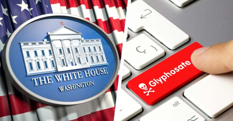 white house sign and word "glyphosate"