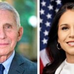 anthony fauci and tulsi gabbard