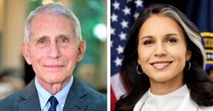 anthony fauci and tulsi gabbard