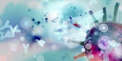 Memory cells will respond by producing antibodies to the variants at hand.