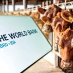 world bank logo and cows at farm
