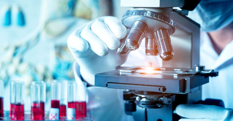 wuhan lab bat lady nih emails feature