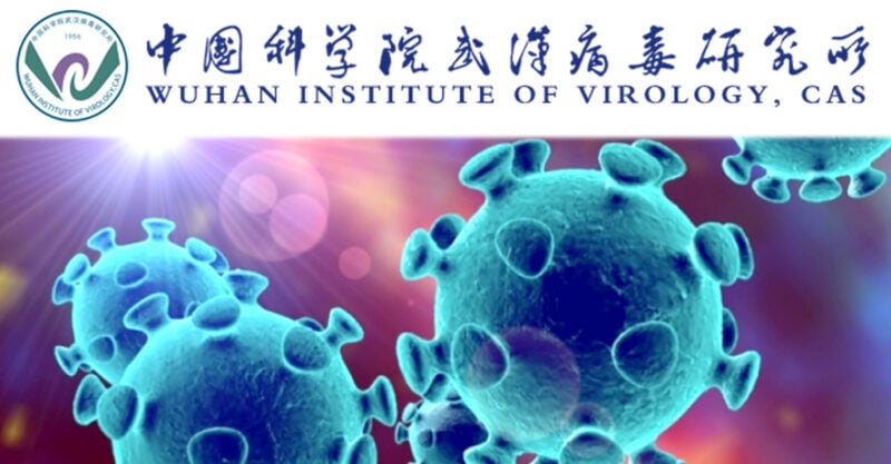 wuhan lab destroy data feature