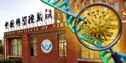 wuhan institute of virology